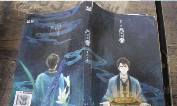 哑舍这本书值得看吗,哑舍这本书结局怎么样