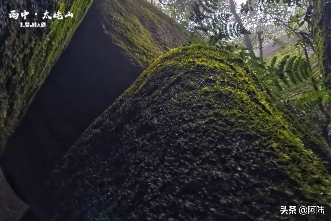 海上仙都太姥山阅读,福鼎太姥山5a景区海上仙都