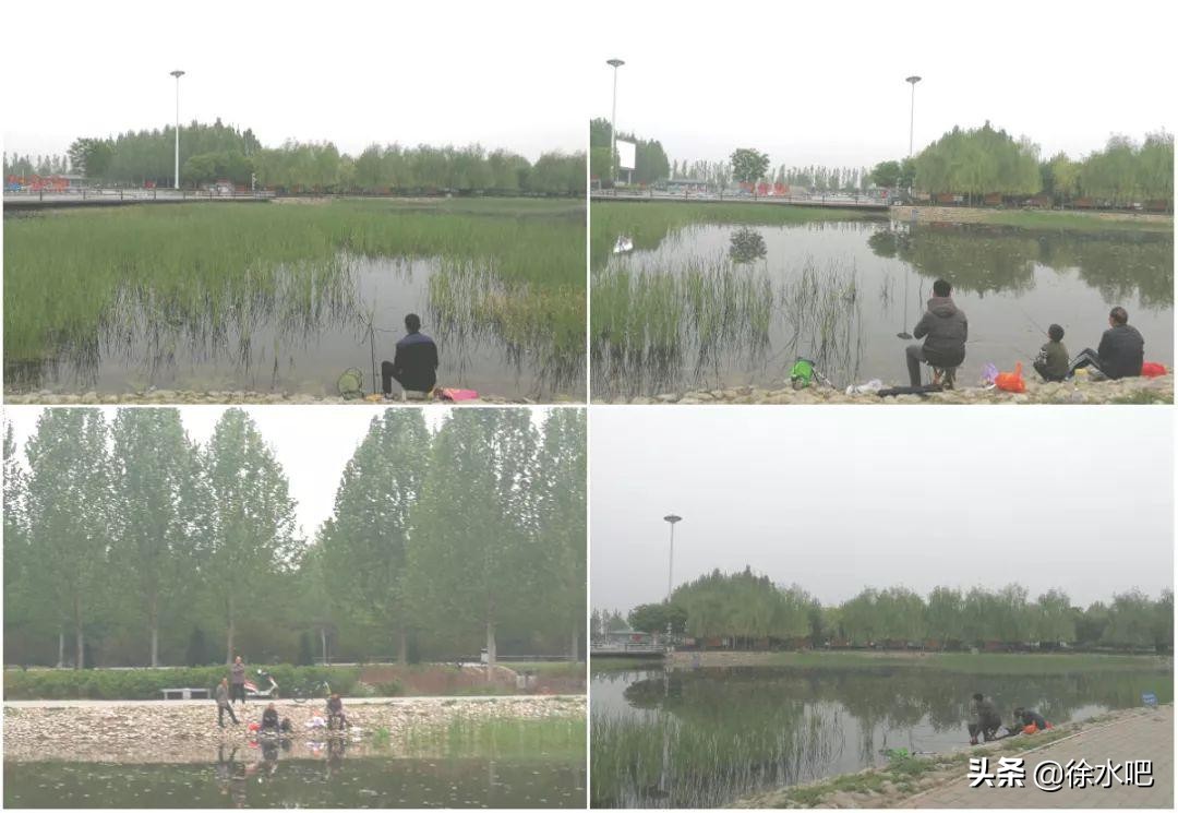 保定徐水最好的地方,保定徐水有哪些好玩的地方