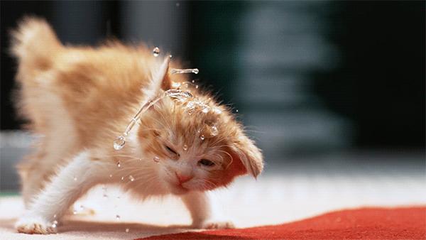 华为mate20pro操作技巧,华为mate20pro慢动作怎么用