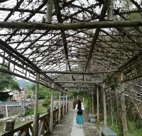 寻梦云水谣，探访福建南靖土楼，漫步厦门大学