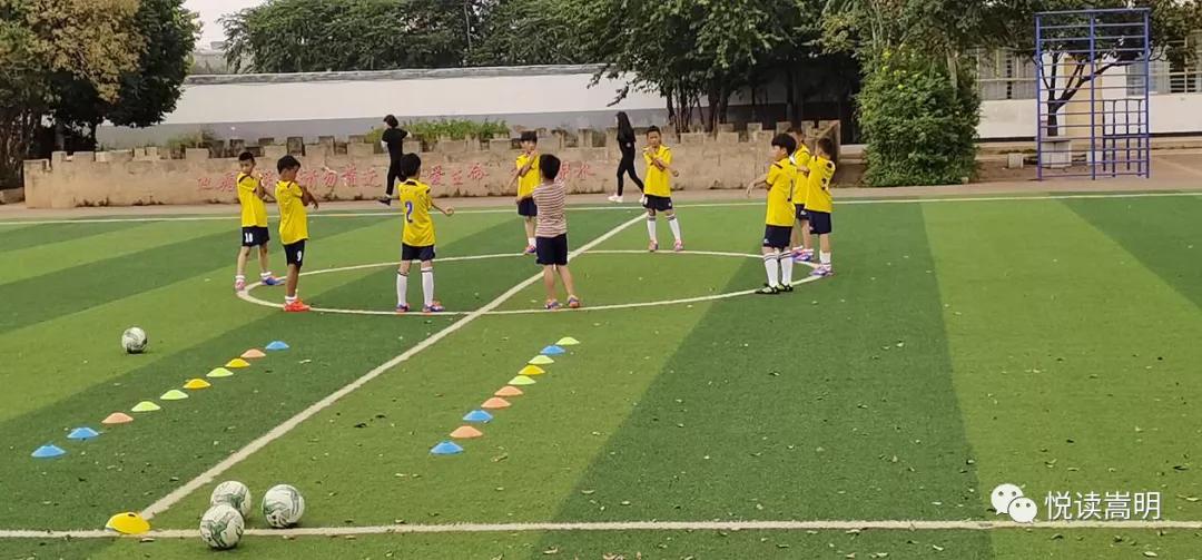 嵩明有哪些幼儿园,嵩明县公办幼儿园招生