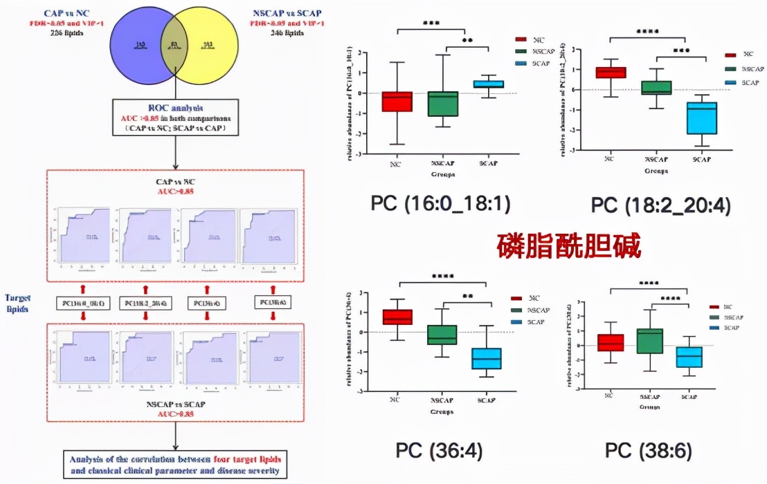 呼吸道病毒感染症状和治疗,cap感染