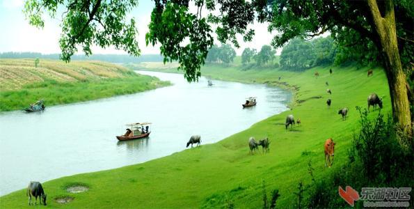 英语趣味自然拼读口诀,英语自然拼读单词顺口溜图片