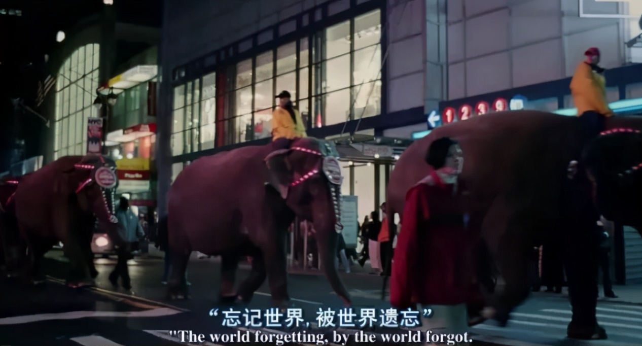 日结模特招聘,日结500以上计件招聘