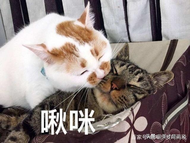 显白口红推荐香奈儿,显白的口红色号阿玛尼推荐