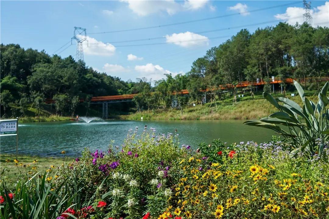 传统文化与现代文明融合,传统文化与现代文明