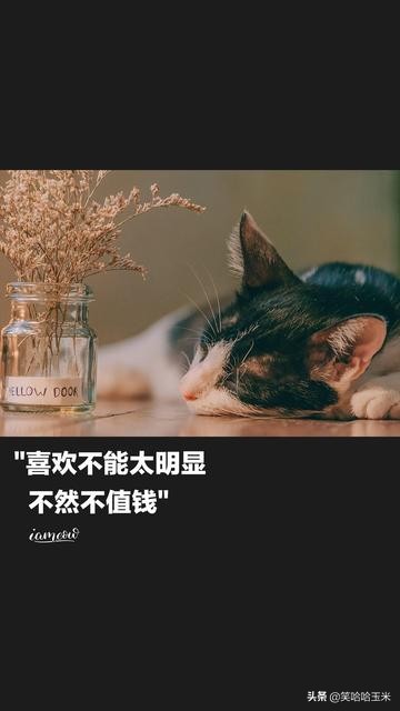 钢铁直男会哄女朋友,钢铁直男遇到真爱的表现