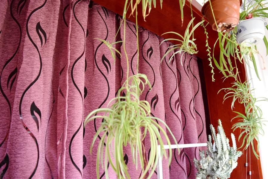 小米有品电动窗帘和米家电动窗帘,米家跟绿米电动窗帘哪个好