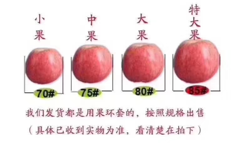 洛川苹果现状如何,洛川苹果农药