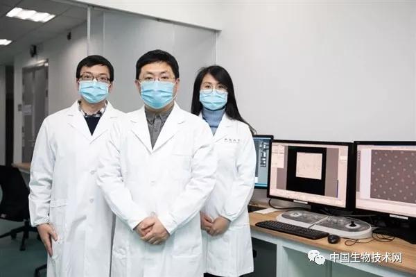 西湖大学新冠肺炎,中国新冠病毒夺去了多少人的生命