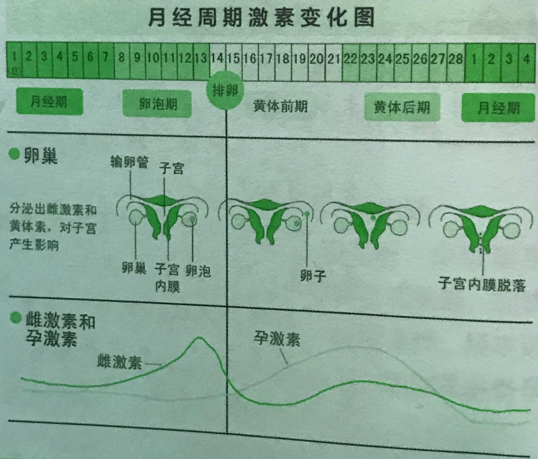 月经不调对于女性的危害,月经不调影响女性身心健康
