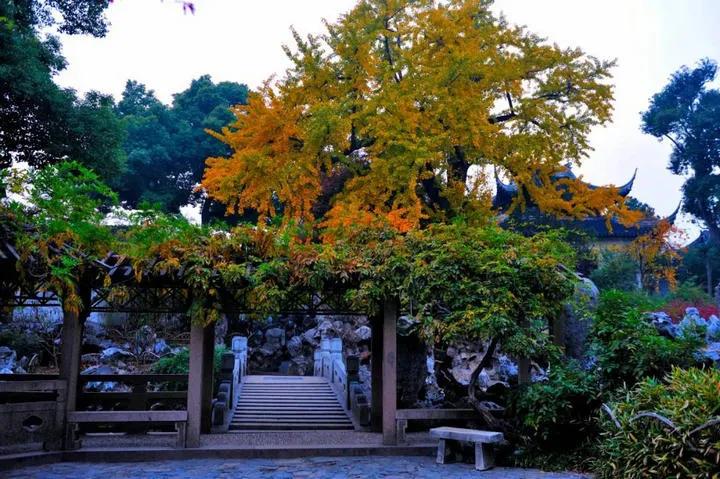 一花一木万般皆有情,一花一木皆是景歌名