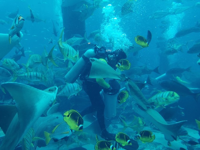 到阿联酋旅行自由行行程,中国到迪拜和埃及旅游攻略路线