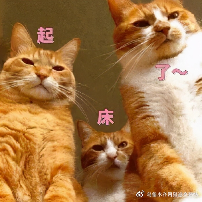 如何关闭网站安全保护,网站安全需求与安全保护