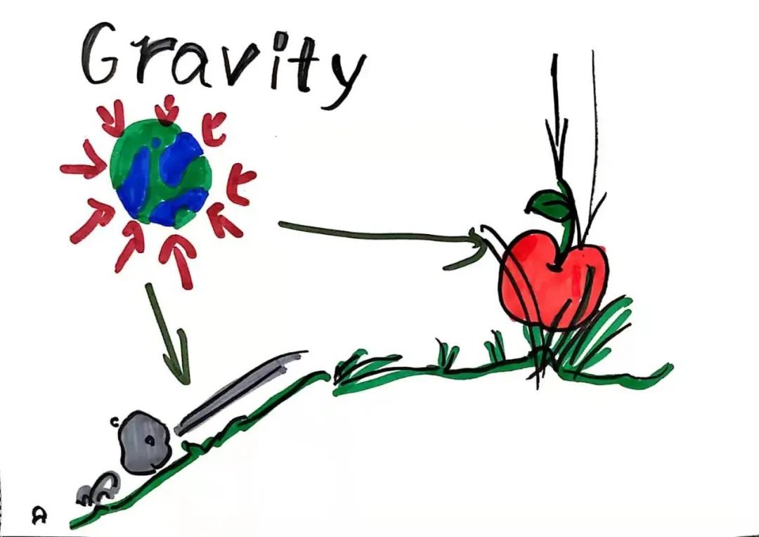 双减考试成绩分析,双减后学校是如何呈现考试成绩