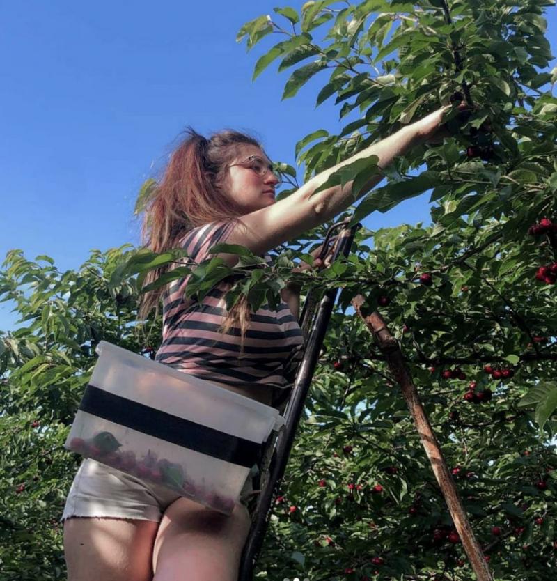 澳洲打工的骗局纪录片,澳洲农场打工真实现状