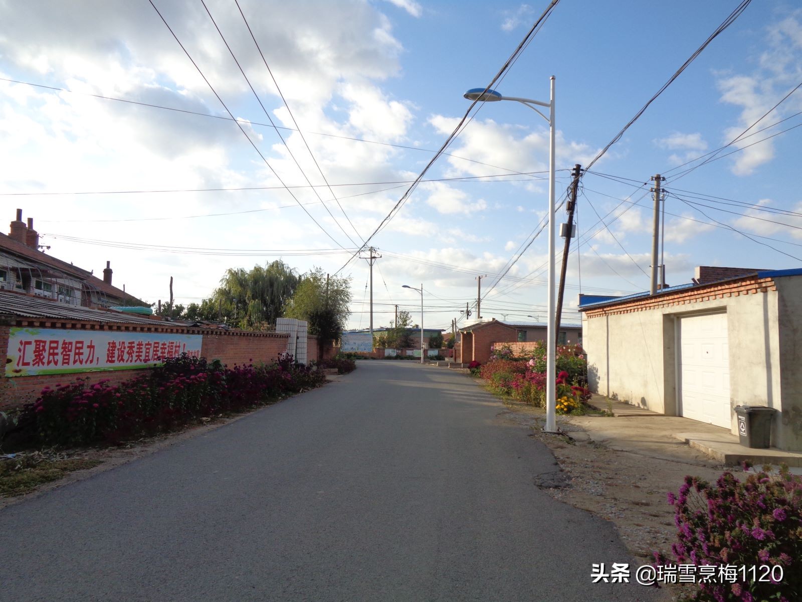 沈北新区依路村,沈北新区马刚乡地图