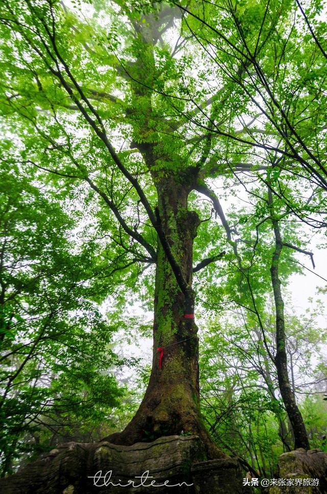 大美张家界之天门山狐仙,张家界旅游天门狐仙值得看吗