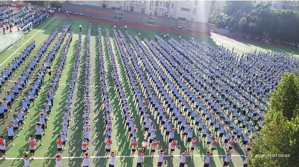 寮哄仴浣撻瓌寮哄浗鏈夋垜,寮哄仴浣撻瓌寮哄浗鏈夋垜灏忔姤鍐呭