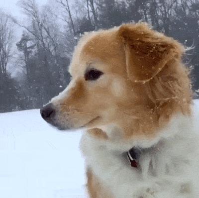 口腔溃疡维生素b2买什么样的,嘴唇干裂和口腔溃疡吃维生素b2