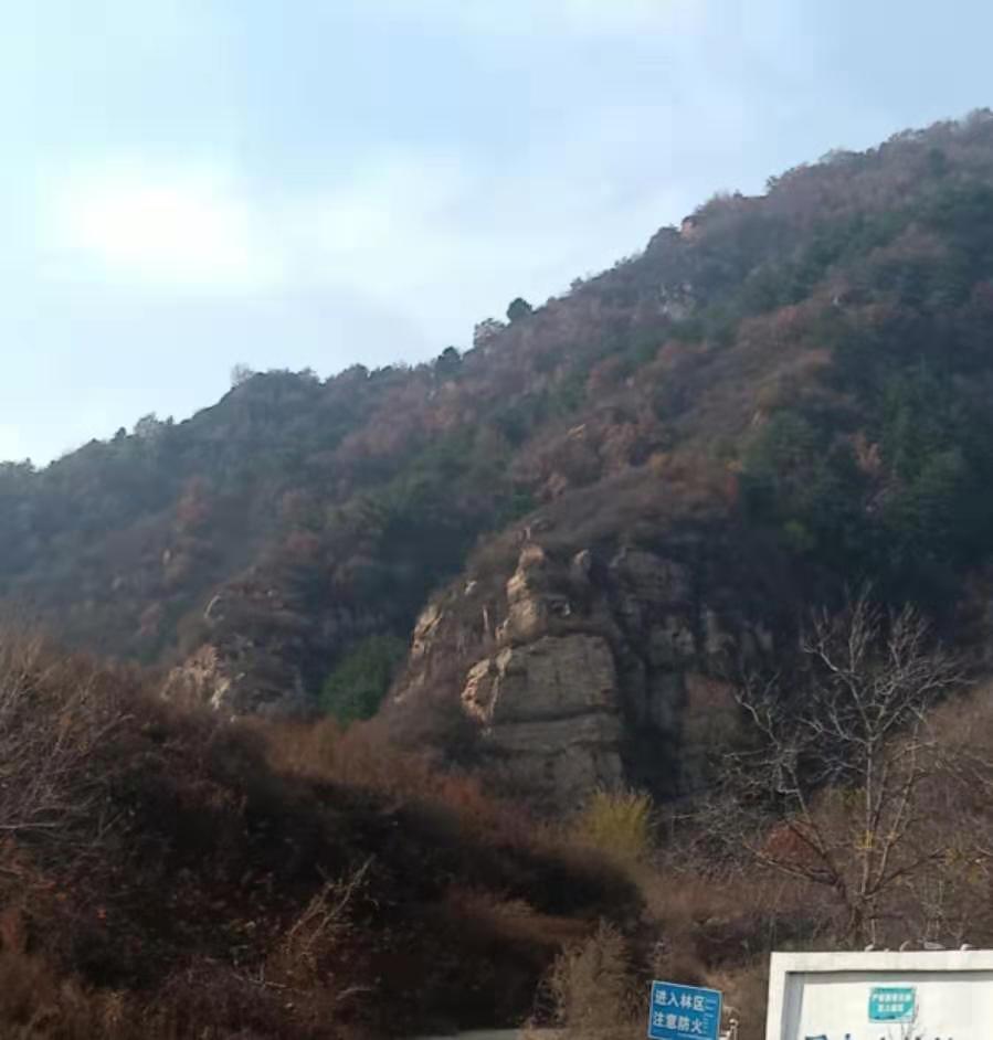 老龙头的传说故事,老龙山传说