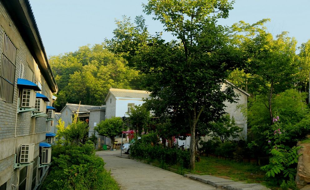 你想象的乡村是什么样的,你梦想的城市是怎样的