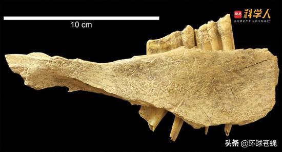 白令海峡徒步到阿拉斯加,印第安人是怎么过白令海峡的