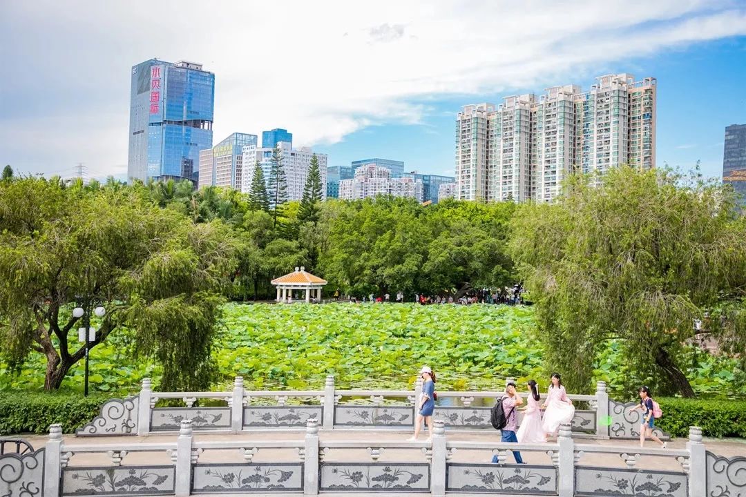 深圳地铁7号线有什么好玩的,深圳地铁十四号线游玩攻略