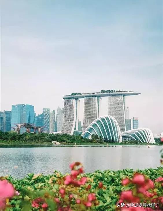 新加坡在国人眼里,外国人惊叹新加坡