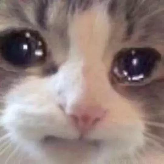 本世纪最浪漫的爱情,本世纪最伟大的爱情