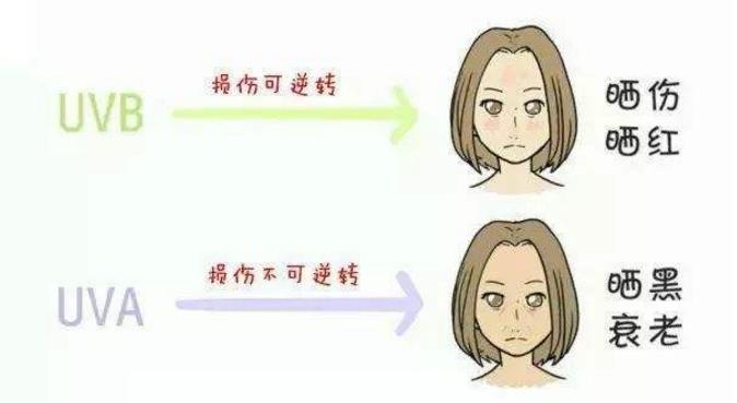 防晒spf和pa+是什么意思,spf220pa+能防晒多久