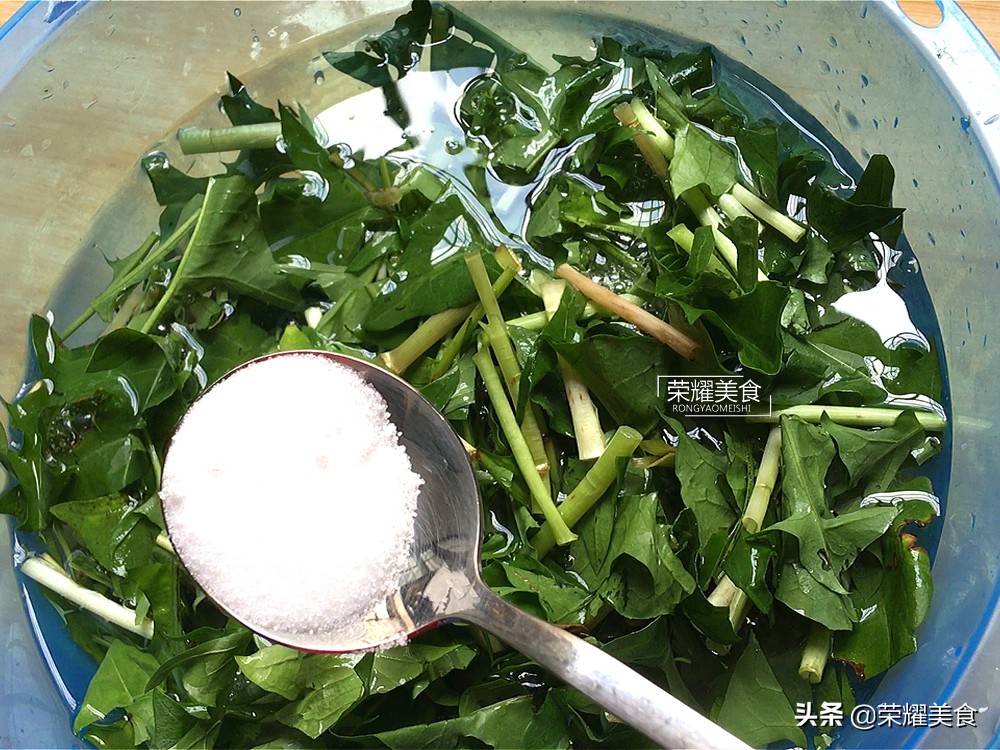 蒲公英野菜什么人不能吃,蒲公英是清热下火的吗