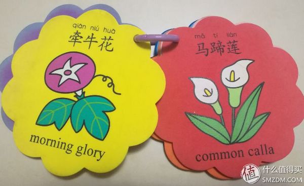 幼儿早教启蒙3-6岁识字方法,幼儿早教启蒙学习教育视频