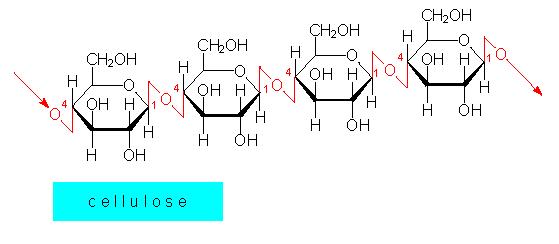青霉素的注意事项有哪些,青霉素能治什么病害