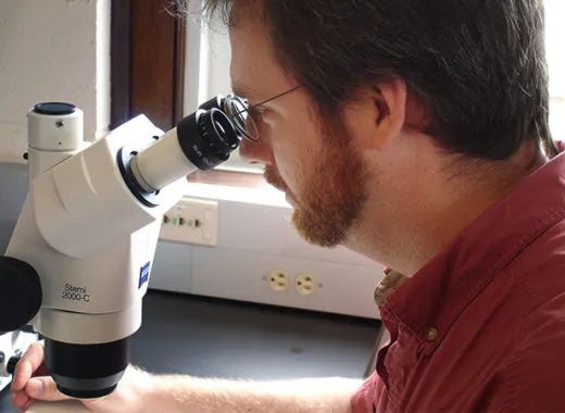 雌雄交配才叫性?不要被课本限制了想象力