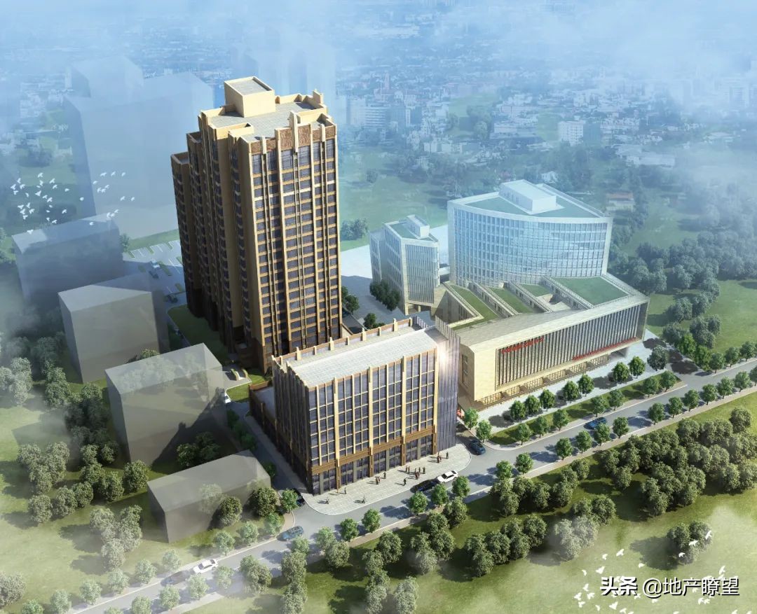 苦等10年终成正果,苦等十年后续