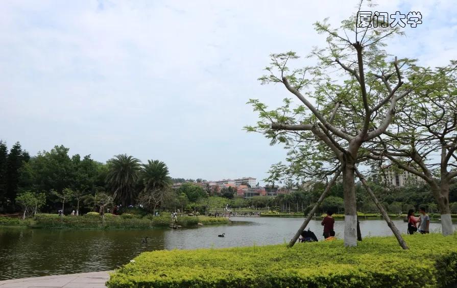 寻梦云水谣，探访福建南靖土楼，漫步厦门大学