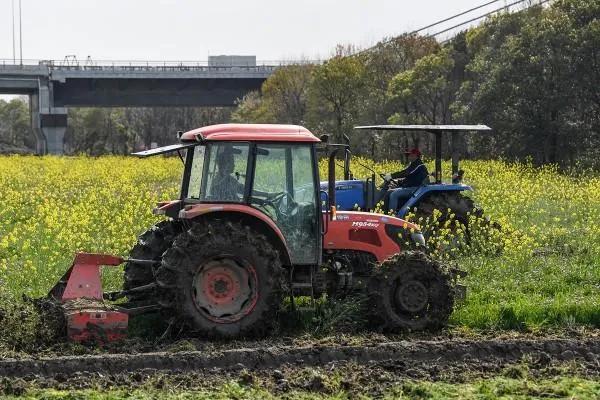 不减产不减量!疫情下,家庭农场主们这样忙活“生意经”