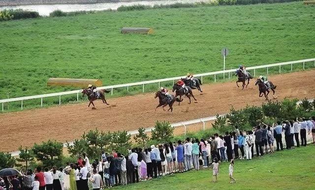 各个皆风景！红凤巢玉如意……吸睛的二青会场馆！距开幕式还有29天……