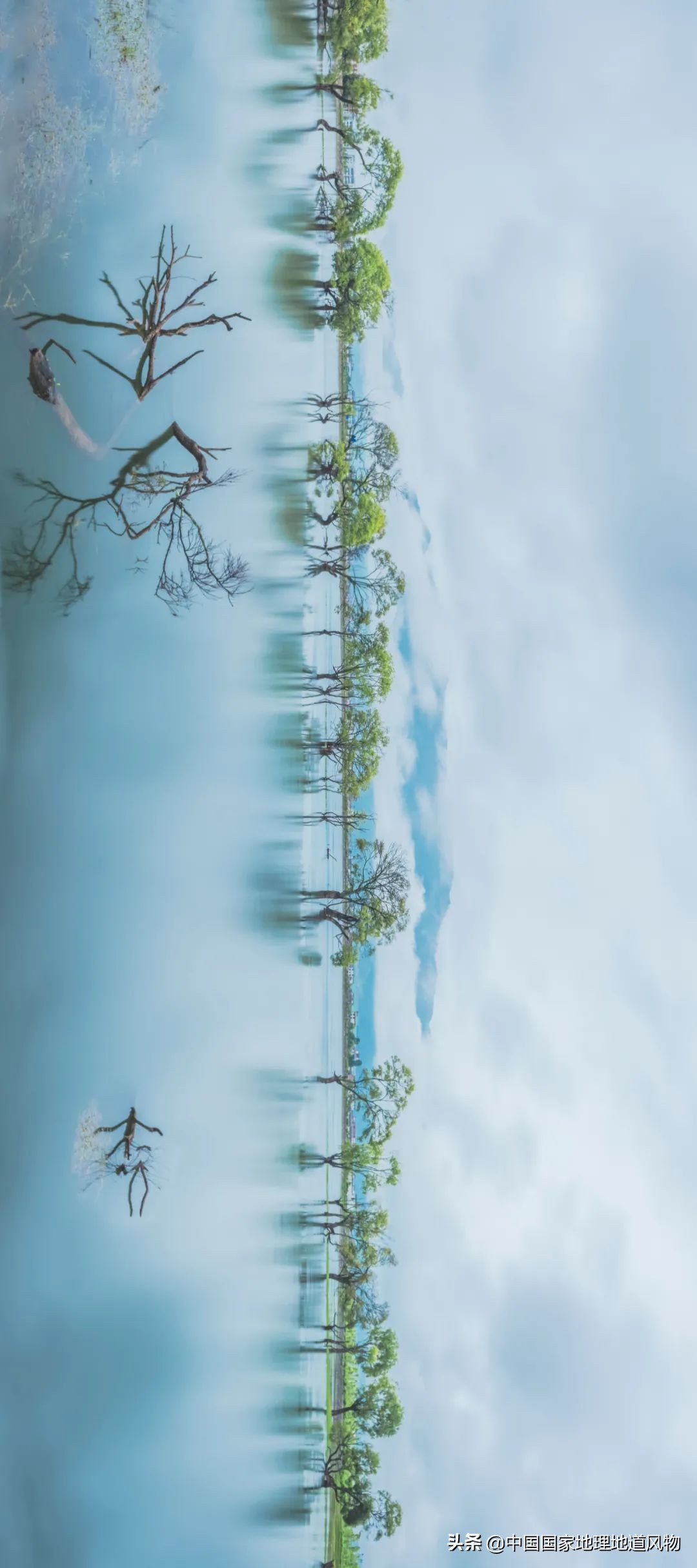 云南有个地方比大理丽江更出名,昆明风景为什么没有大理和丽江好