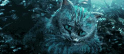 盘点二次元猫咪 (可爱二次元猫咪大全)