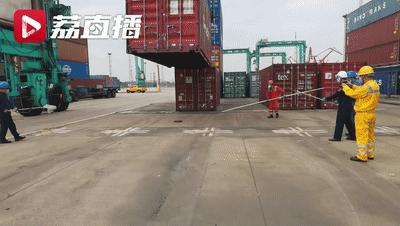 4米长,手臂粗!海关截获眼镜王蛇,现场还在不断喷射毒液