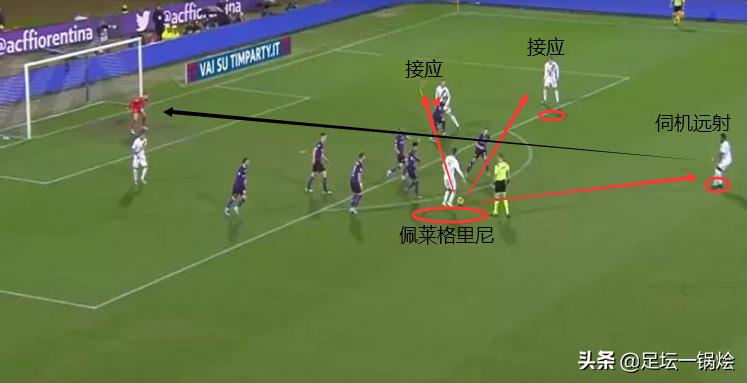 狼崽到狼王的蜕变,深度解析佩莱格里尼