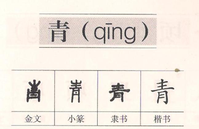 小学语文知识大集结练习十一,小学语文基础知识的练习册