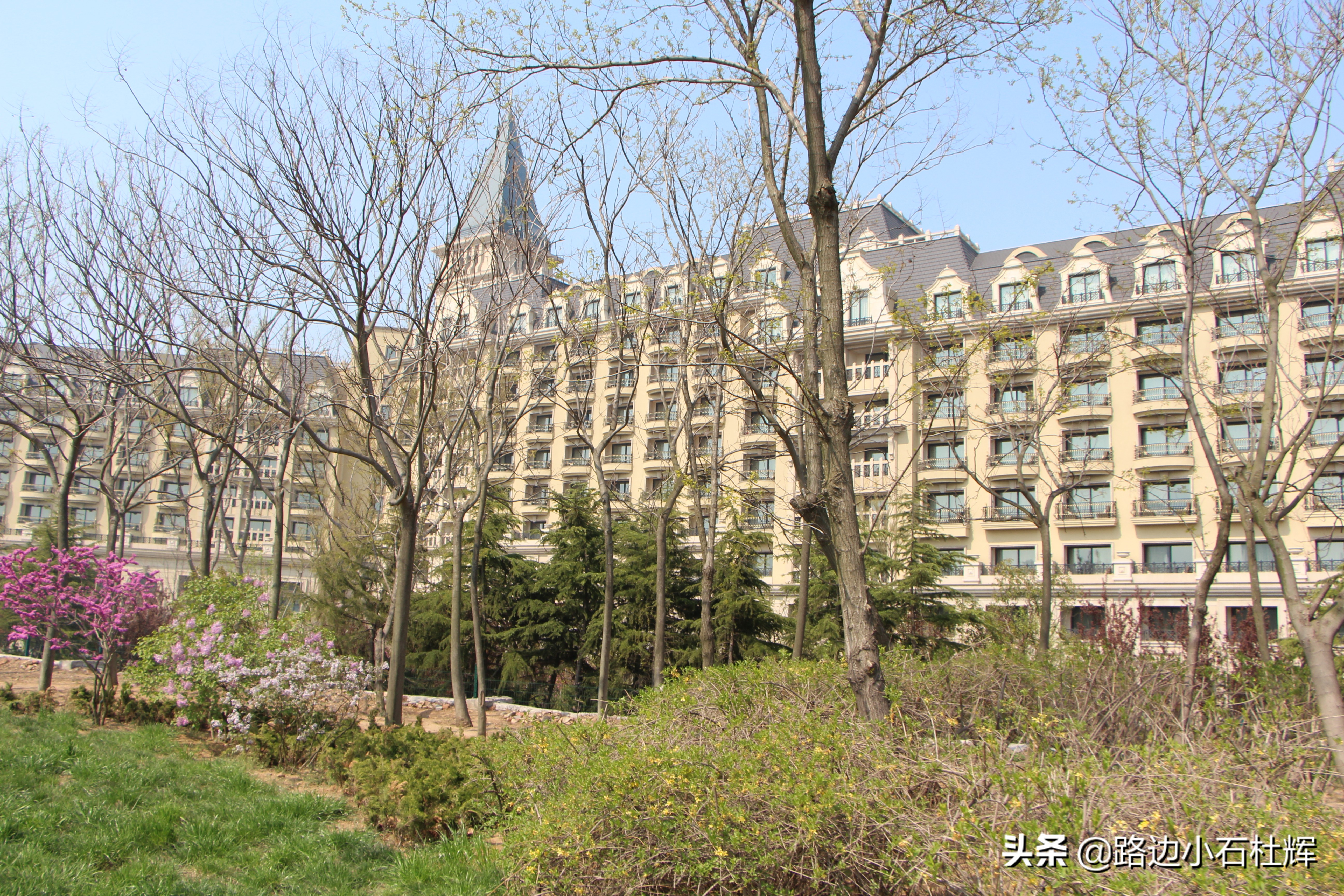 青岛黄岛记忆,青岛金沙滩景色图