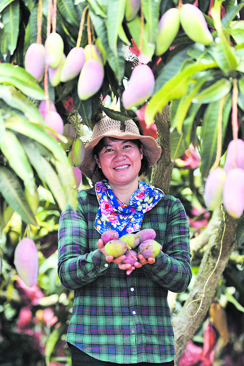 拼多多618数据趋势,拼多多618爆发原因