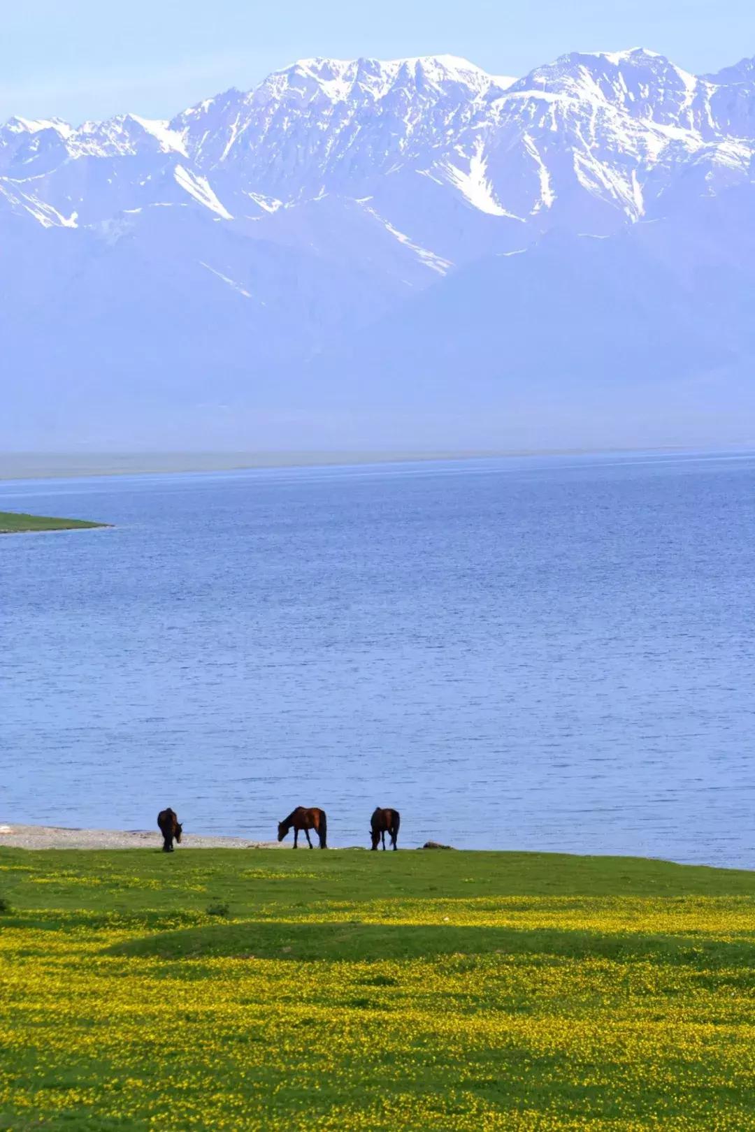 新疆的天堂在哪,新疆人间天堂在哪
