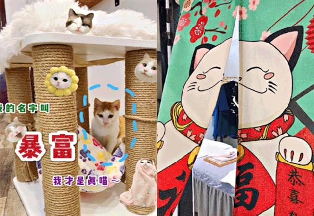 美业测试,美业测试项目