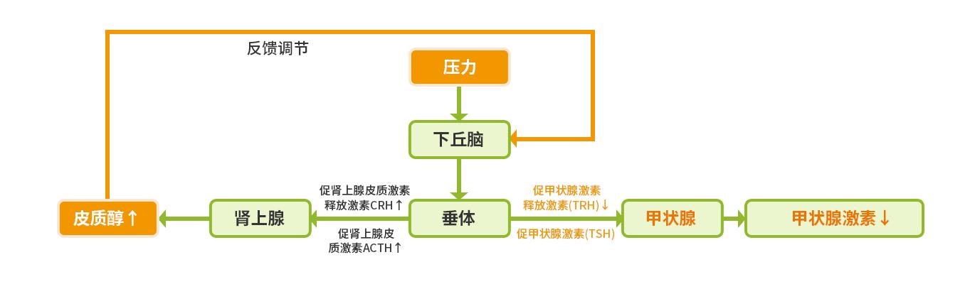 最新研究发现：原来医生一直开的激素药并不能真正根治月经